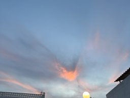 156-02-01-2026 IMG_3352